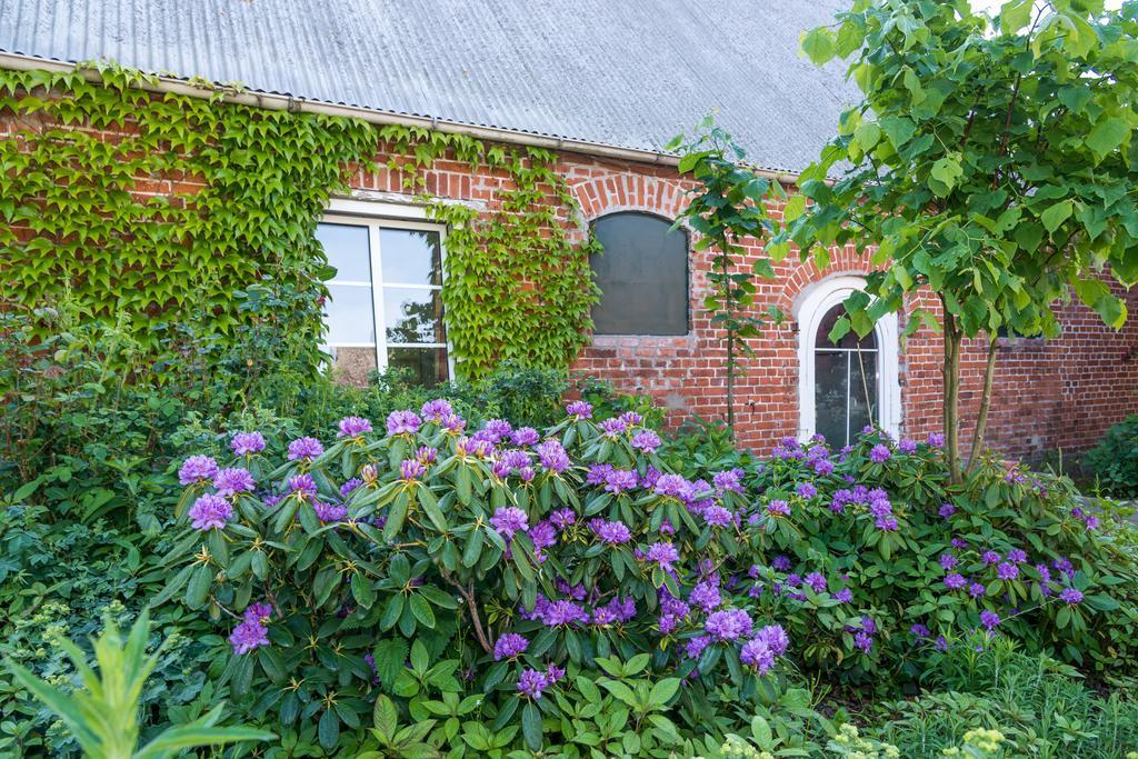 Ferienhof Kolauerhof - Bauernhofurlaub In Grömitz Exteriör bild