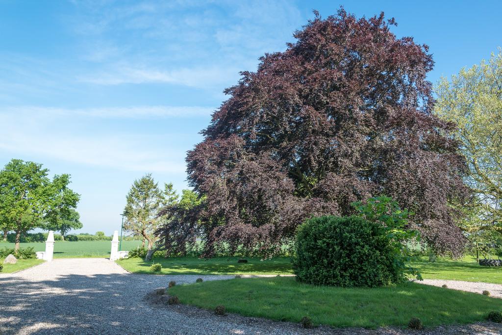 Ferienhof Kolauerhof - Bauernhofurlaub In Grömitz Exteriör bild